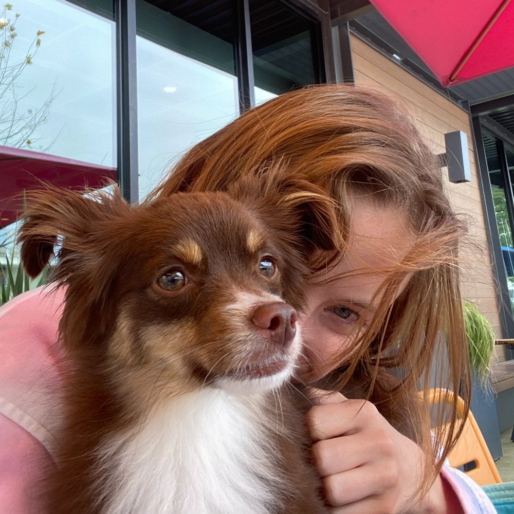 Meet your Posher, Ashton